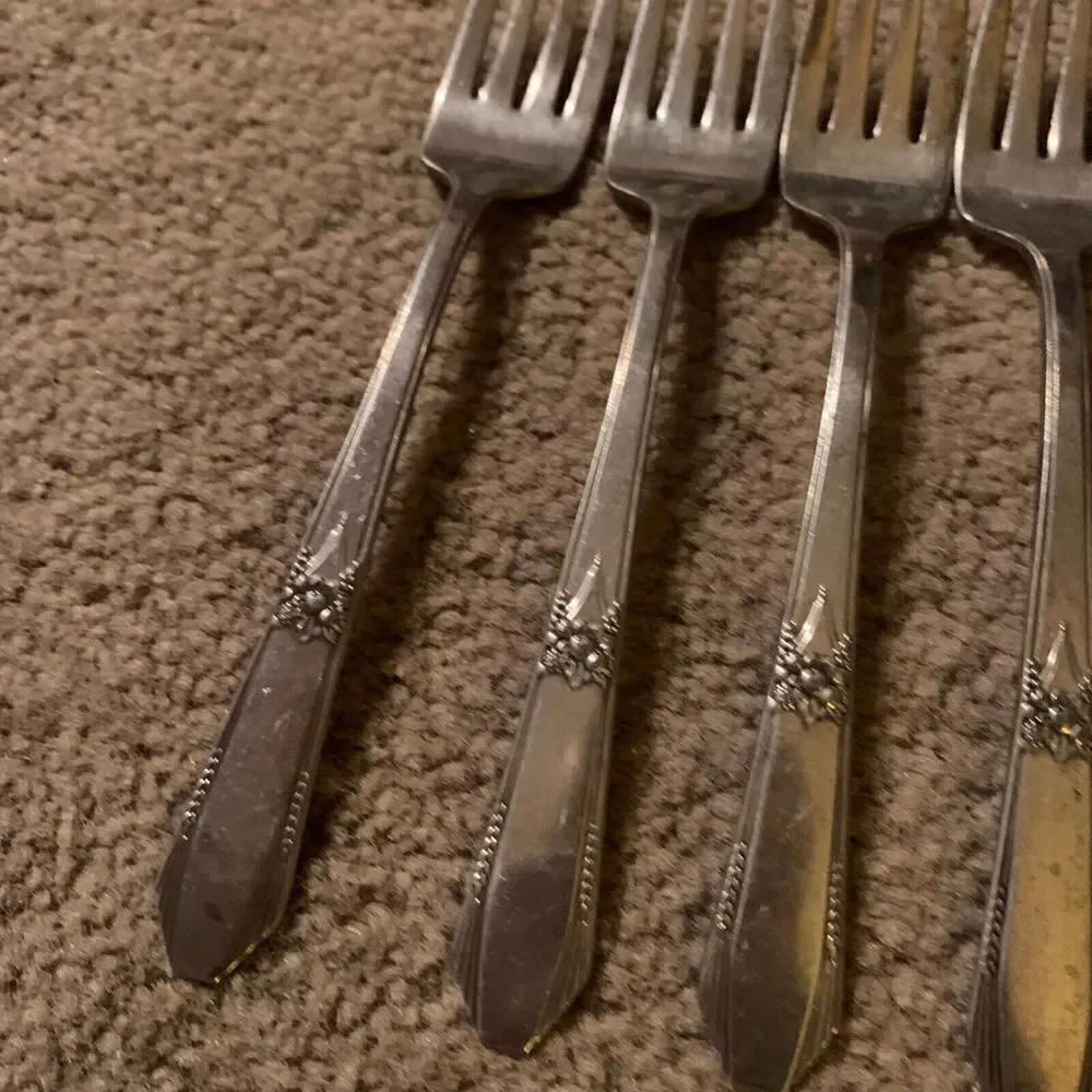 6 Wm. Rogers Memory Hiawatha Silverplate Flatware Salad Forks